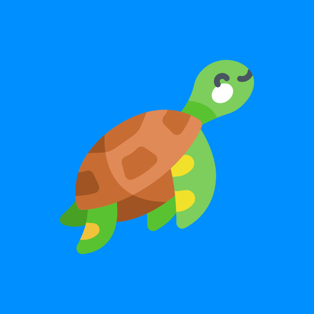 Turtle image